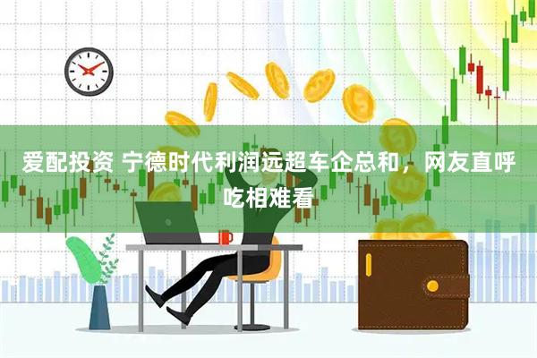 爱配投资 宁德时代利润远超车企总和，网友直呼吃相难看