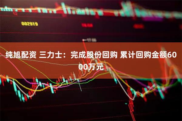 纯旭配资 三力士：完成股份回购 累计回购金额6000万元