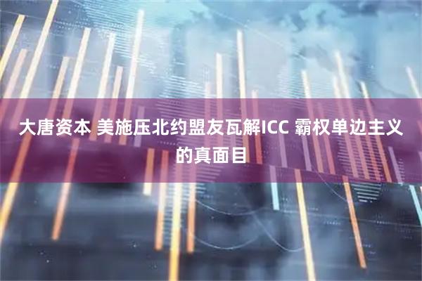 大唐资本 美施压北约盟友瓦解ICC 霸权单边主义的真面目